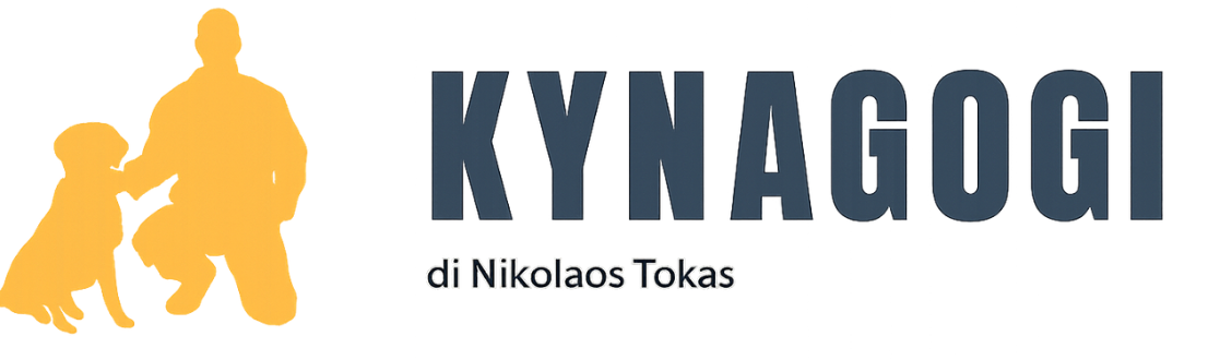 Kynagogi Academy